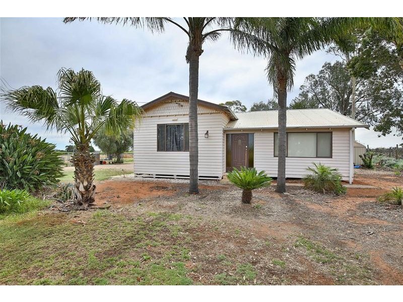 269 Gunya Road, Dareton NSW 2717