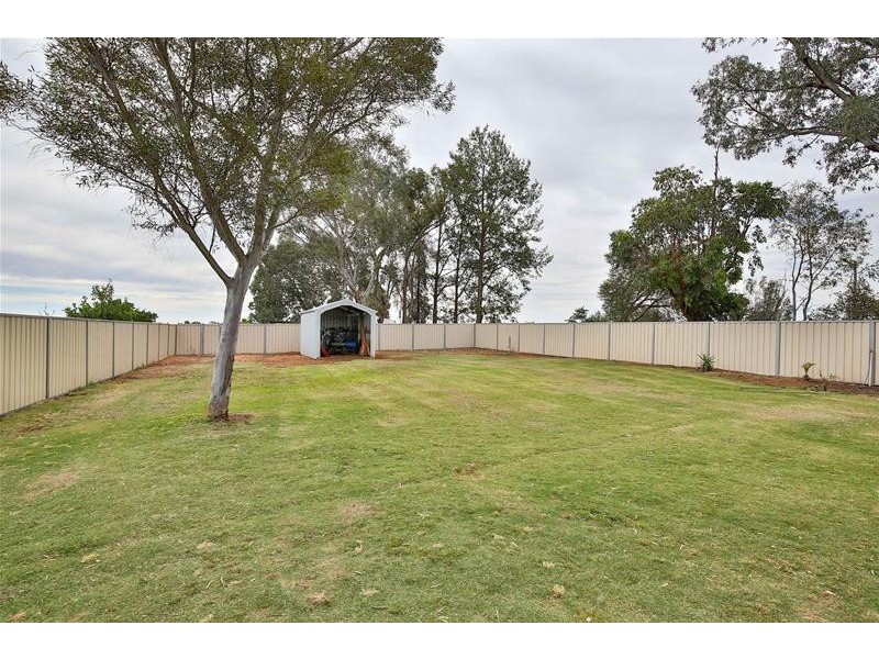 269 Gunya Road, Dareton NSW 2717