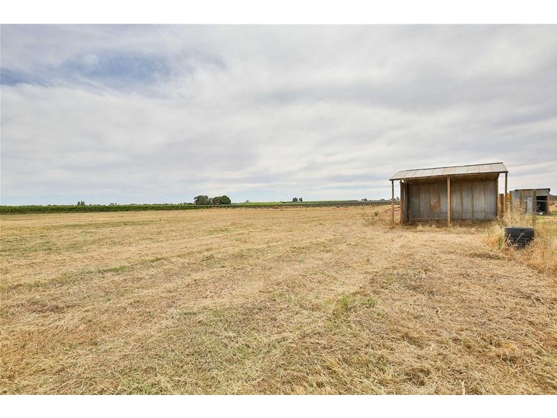 269 Gunya Road, Dareton NSW 2717