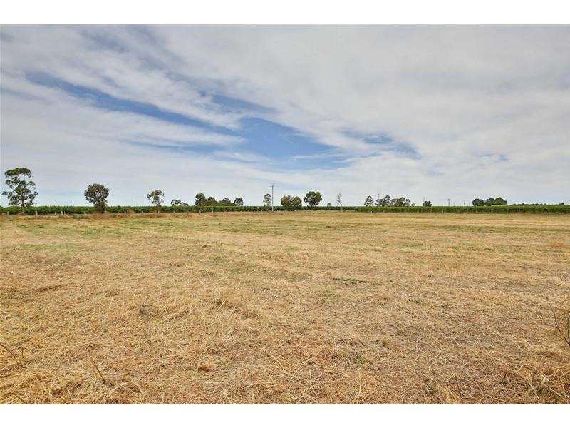 269 Gunya Road, Dareton NSW 2717