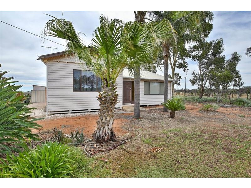 269 Gunya Road, Dareton NSW 2717
