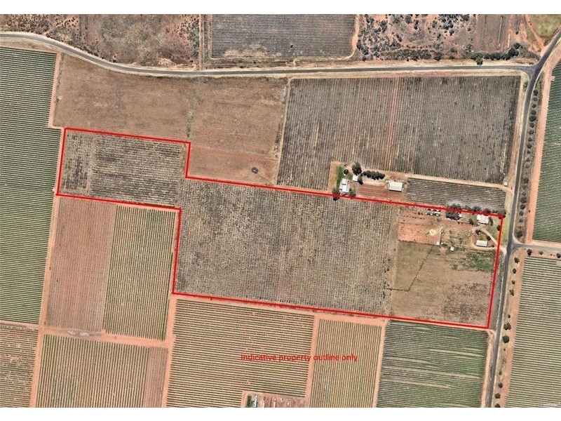 269 Gunya Road, Dareton NSW 2717