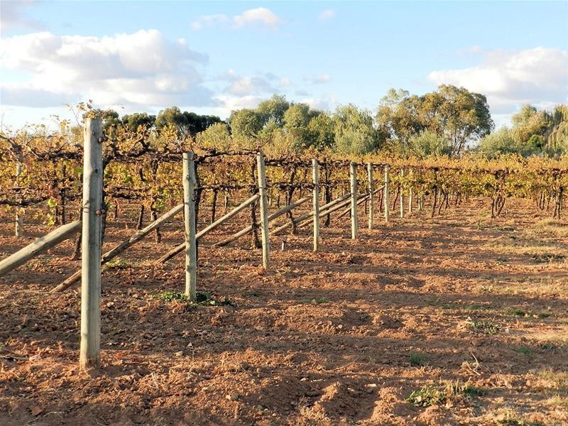 Lot 2 Morpung Avenue, Nichols Point VIC 3501