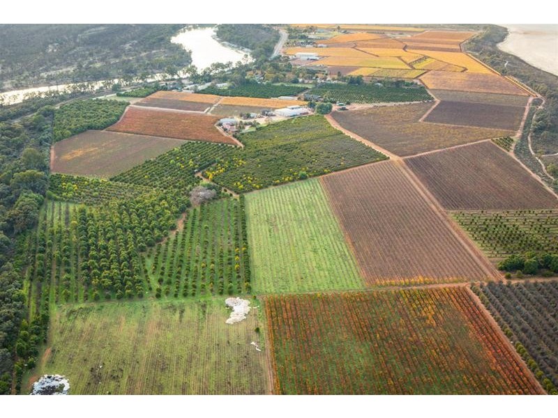 217-231 Ranfurly Way, Mildura VIC 3500