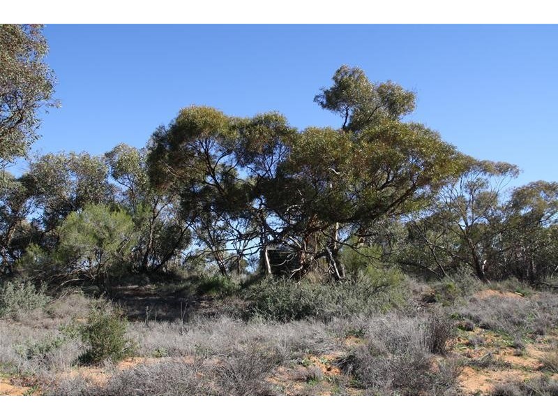 Lot 4 Sculthorpe Road, Nangiloc VIC 3494