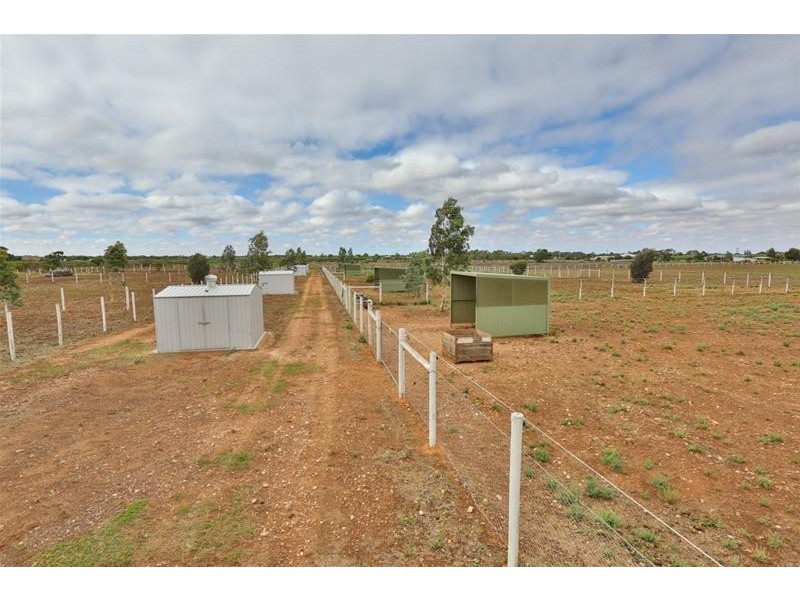 3686 Benetook Avenue, Koorlong VIC 3501