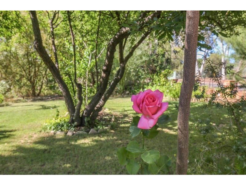 7 Rowe Parade, Red Cliffs VIC 3496