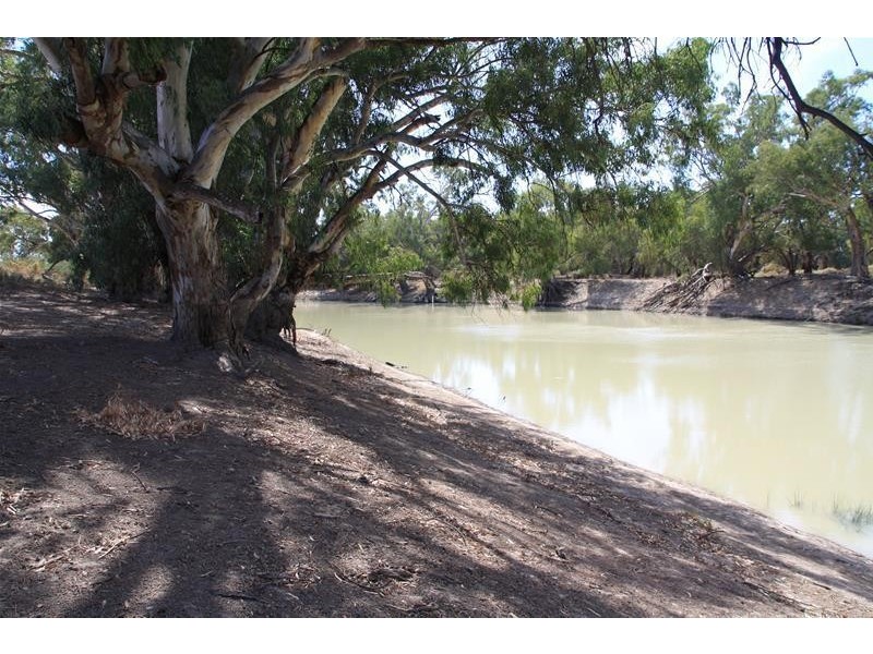 Lot 12/1744 Low Darling Road, Wentworth NSW 2648