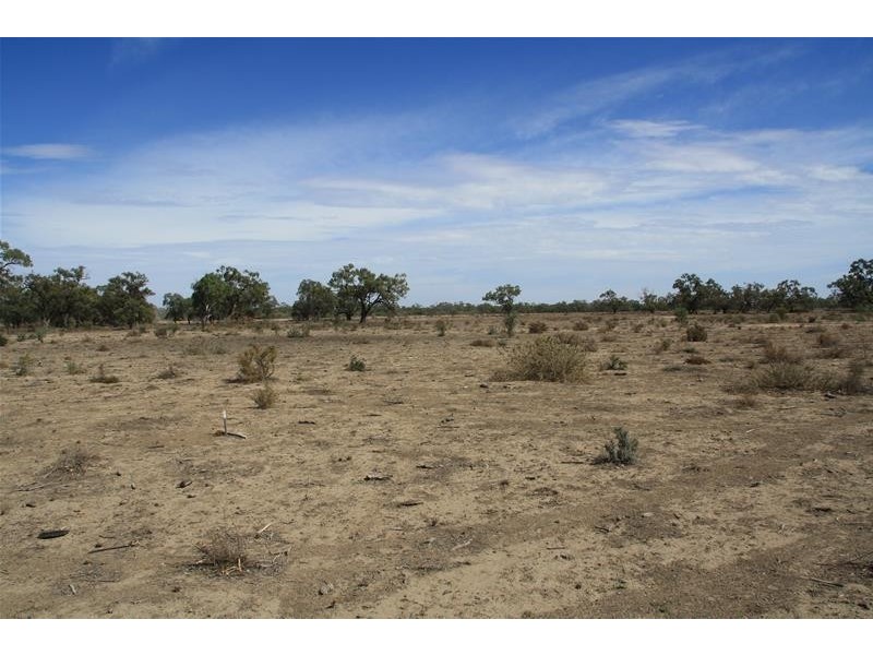 Lot 12/1744 Low Darling Road, Wentworth NSW 2648