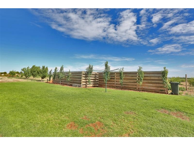 147 Reserve West Road, Dareton NSW 2717