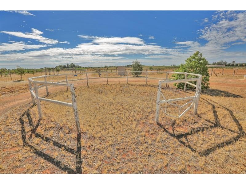 147 Reserve West Road, Dareton NSW 2717