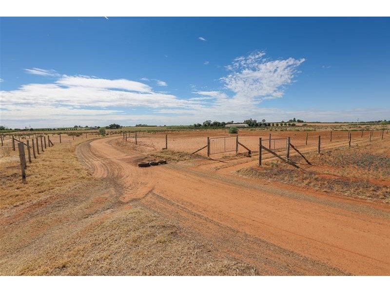 147 Reserve West Road, Dareton NSW 2717