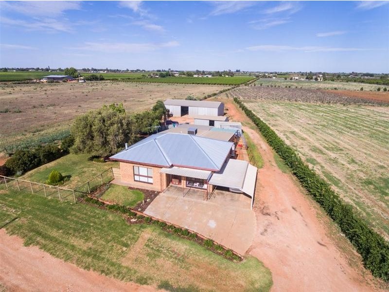 17 McSwains Road, Birdwoodton VIC 3505