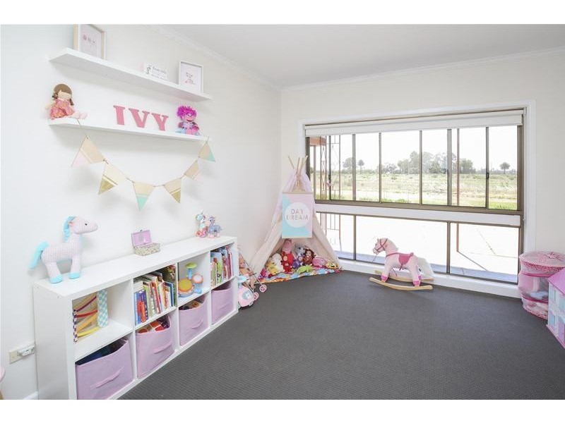 17 McSwains Road, Birdwoodton VIC 3505