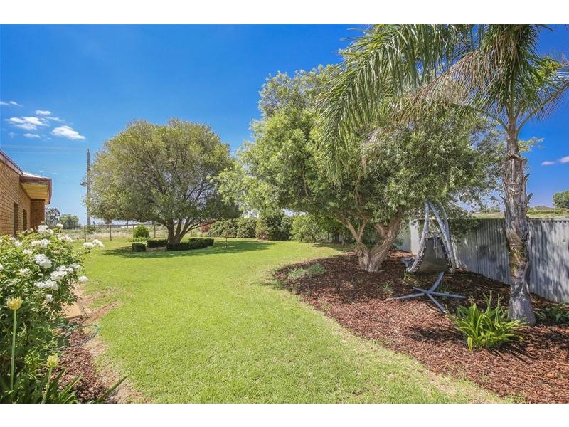 17 McSwains Road, Birdwoodton VIC 3505