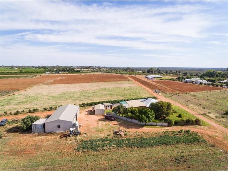 17 McSwains Road, Birdwoodton VIC 3505