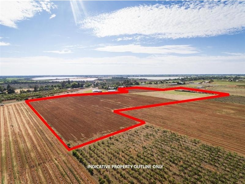 17 McSwains Road, Birdwoodton VIC 3505