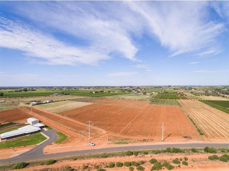 17 McSwains Road, Birdwoodton VIC 3505