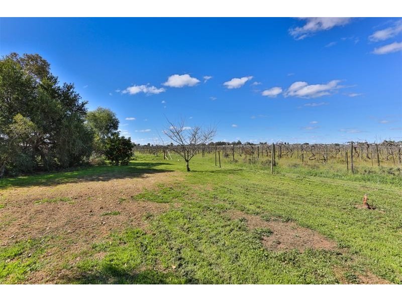 744 Sandilong Avenue, Irymple VIC 3498