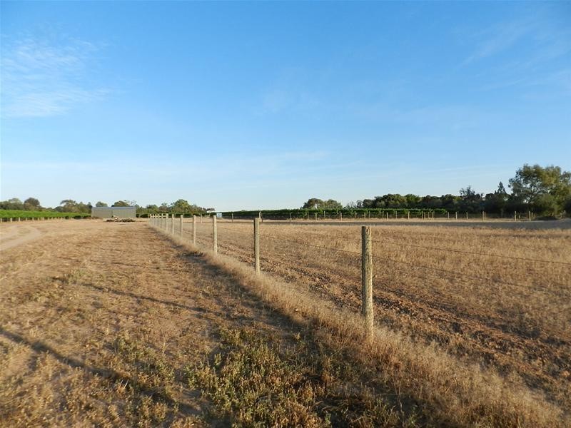 18 Morpung Avenue, Nichols Point VIC 3501