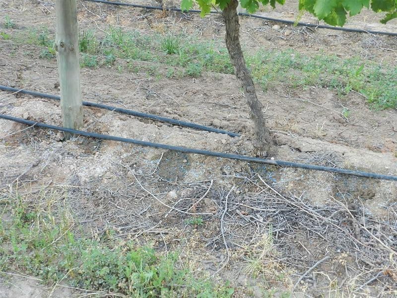 18 Morpung Avenue, Nichols Point VIC 3501