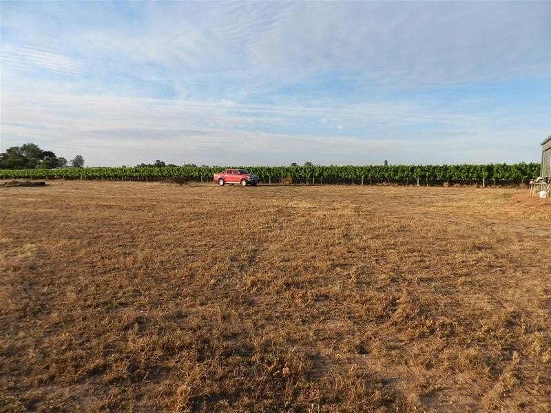 18 Morpung Avenue, Nichols Point VIC 3501