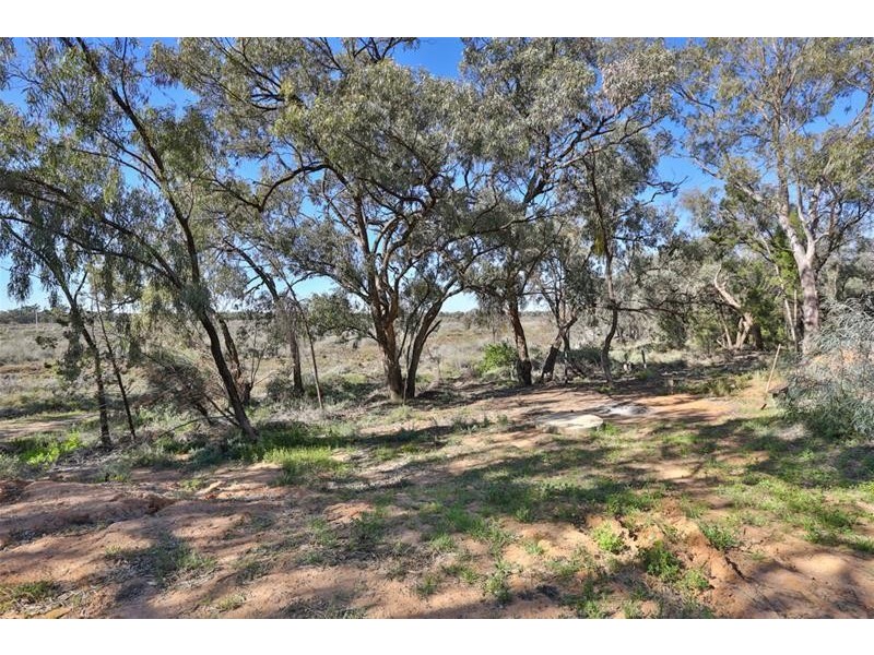 20 Psyche Bend Road, Irymple VIC 3498