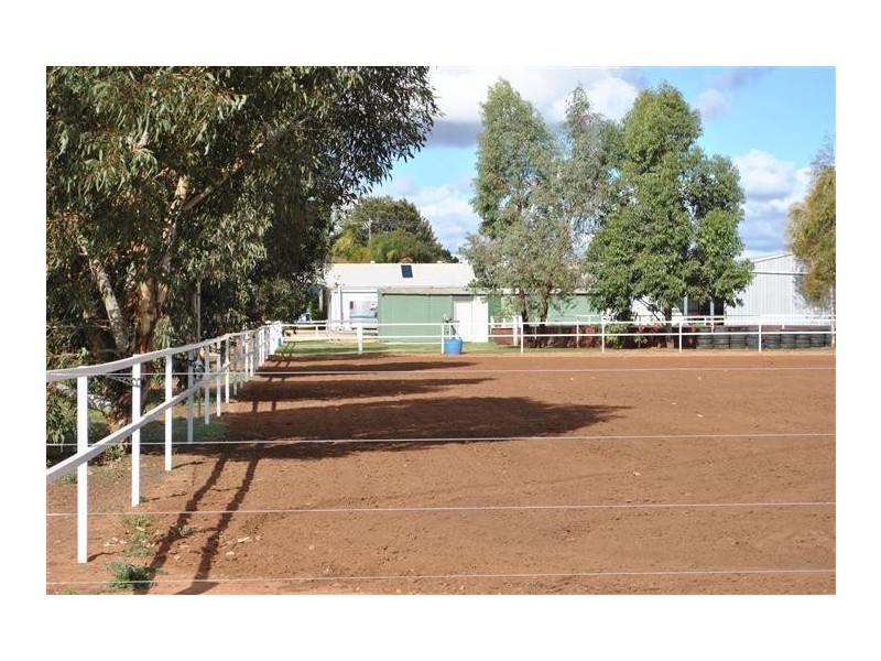 145-149 Irymple Avenue, Nichols Point VIC 3501