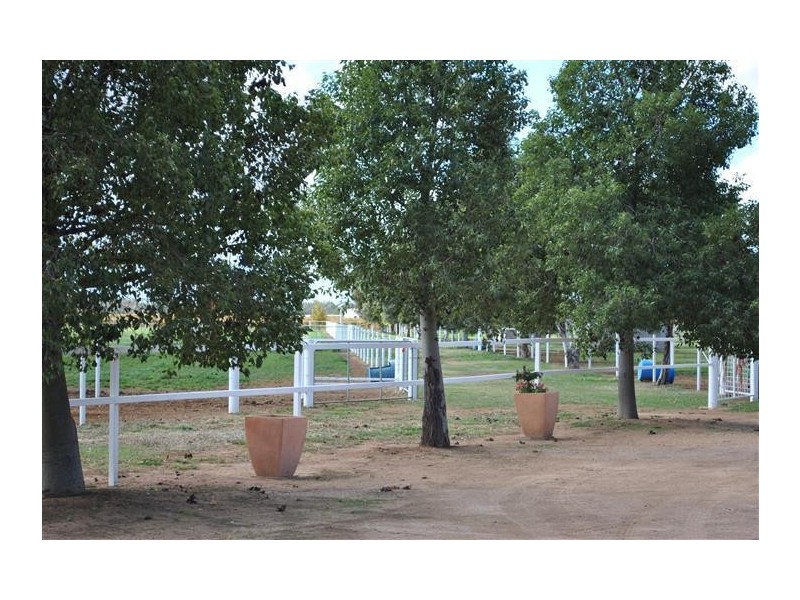 145-149 Irymple Avenue, Nichols Point VIC 3501