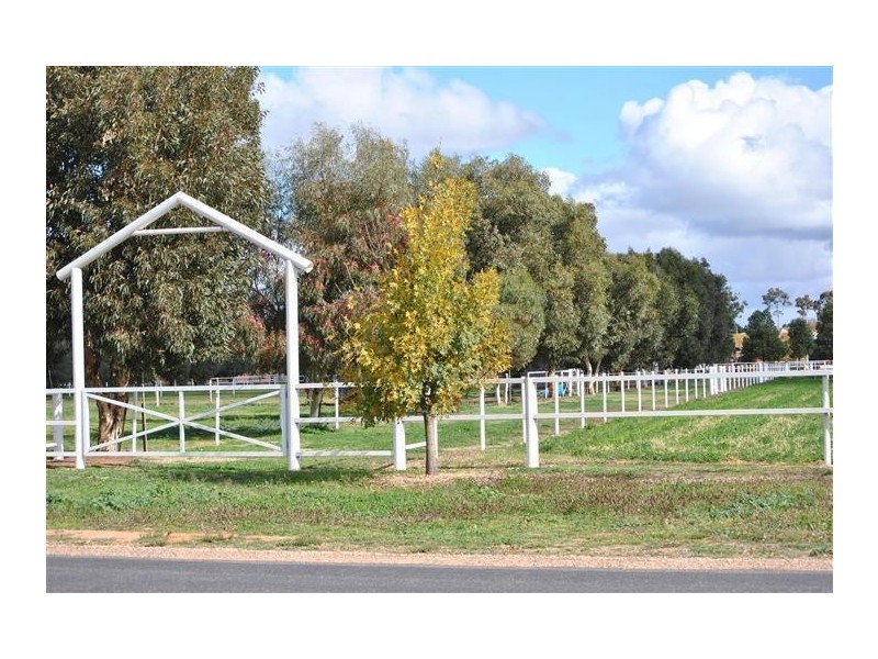 145-149 Irymple Avenue, Nichols Point VIC 3501