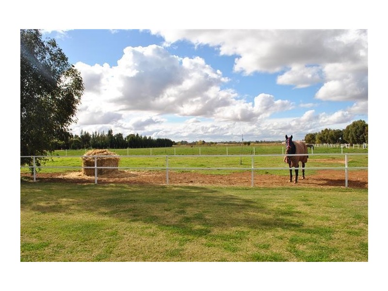 145-149 Irymple Avenue, Nichols Point VIC 3501