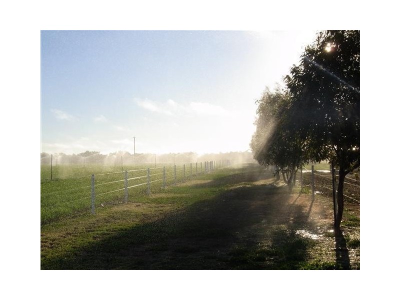 145-149 Irymple Avenue, Nichols Point VIC 3501