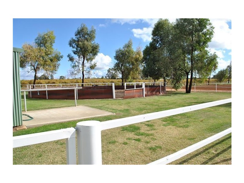 145-149 Irymple Avenue, Nichols Point VIC 3501