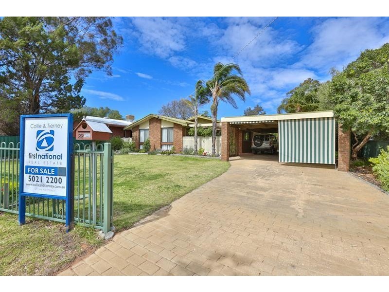 22 Chaffey Street, Merbein VIC 3505