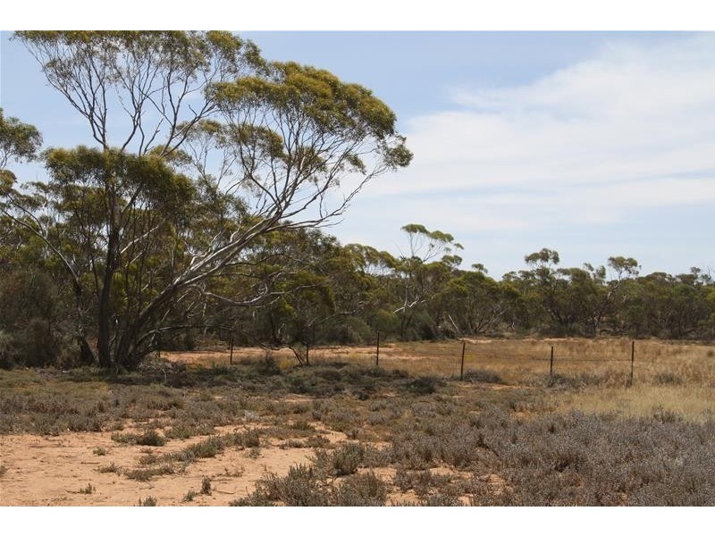 Blk 518B Ponde Street, Red Cliffs VIC 3496