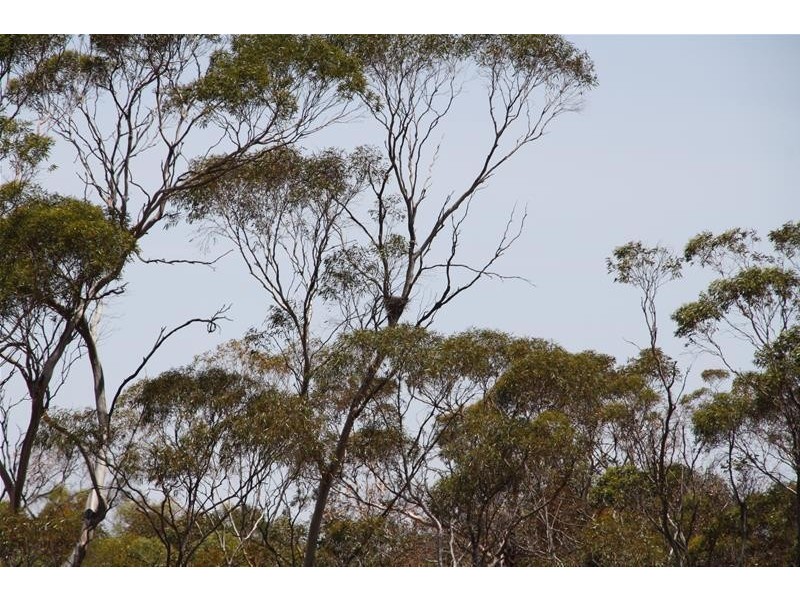 Blk 518B Ponde Street, Red Cliffs VIC 3496