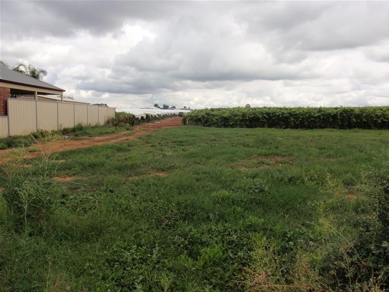 8 Stamford Court, Buronga NSW 2739