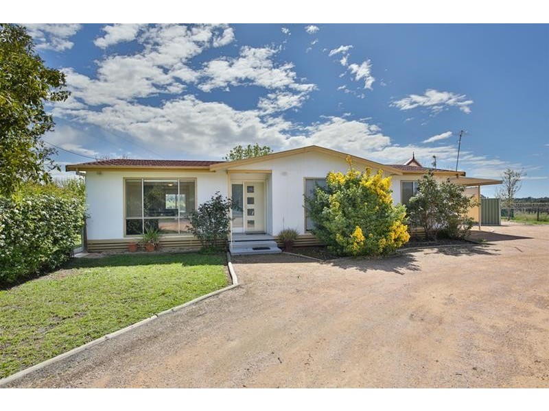 141 Irymple Avenue, Nichols Point VIC 3501