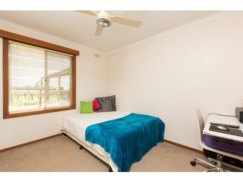 141 Irymple Avenue, Nichols Point VIC 3501