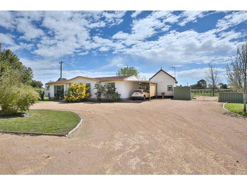 141 Irymple Avenue, Nichols Point VIC 3501