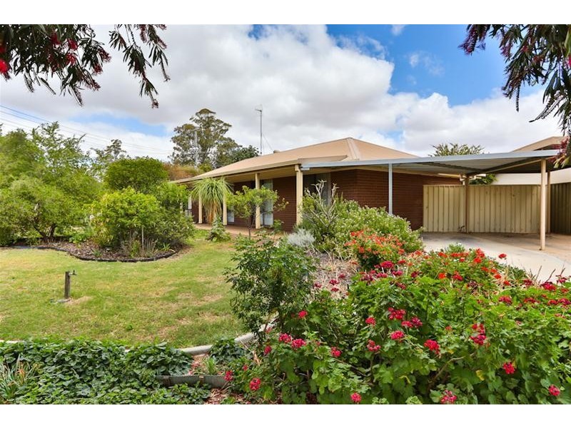 1 Ramsay Court, Red Cliffs VIC 3496