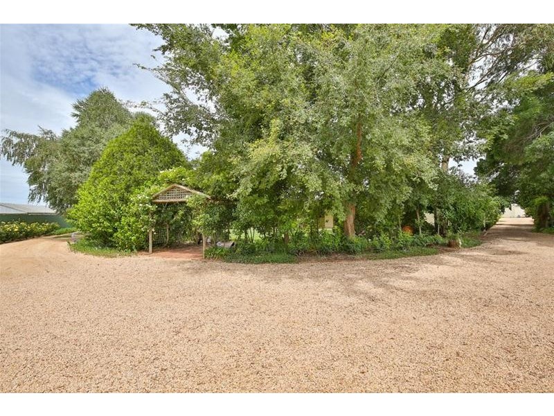 145 Alba Road, Dareton NSW 2717