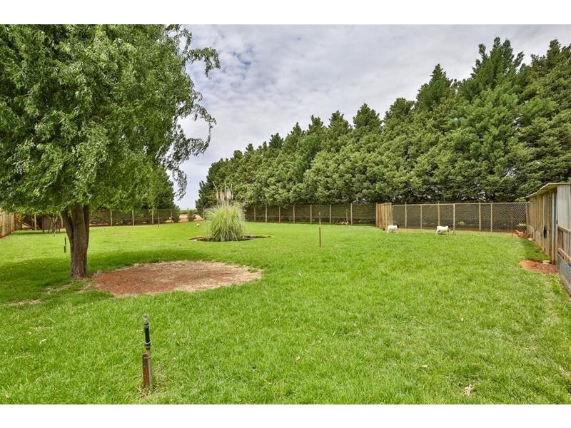 145 Alba Road, Dareton NSW 2717