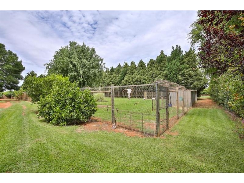 145 Alba Road, Dareton NSW 2717