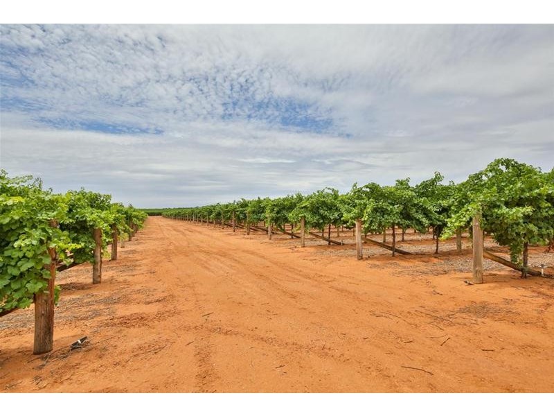 145 Alba Road, Dareton NSW 2717