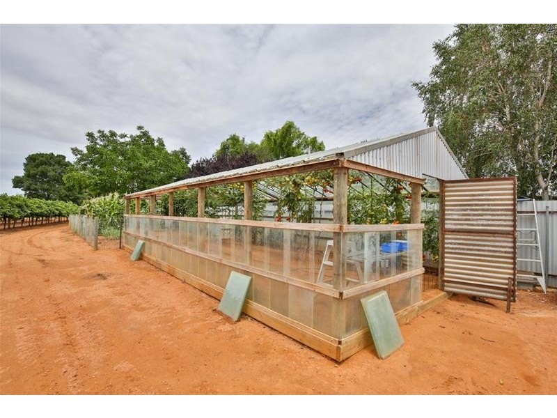 145 Alba Road, Dareton NSW 2717