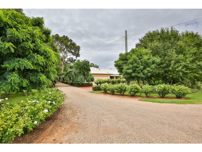145 Alba Road, Dareton NSW 2717
