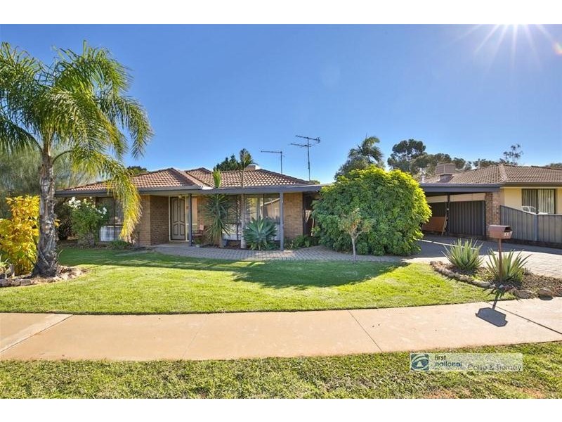 27 Flamingo Drive, Mildura VIC 3500