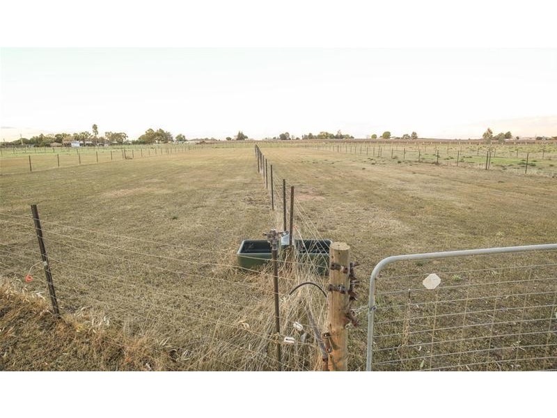 417 Morpung Avenue, Irymple VIC 3498