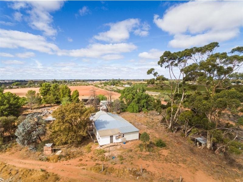 52 McEdward Street, Birdwoodton VIC 3505